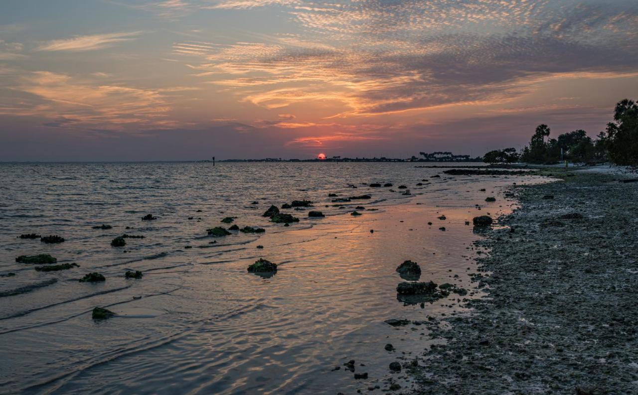 Sunset Paradise - Find Yourself In Tampa Exterior foto